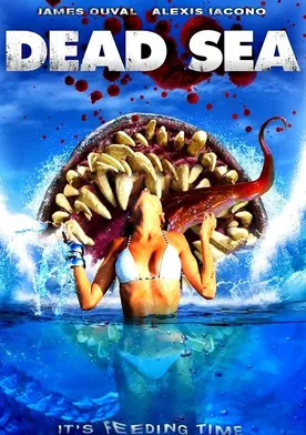 Poster Dead Sea