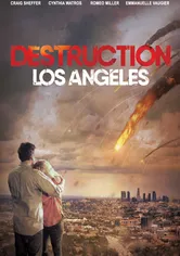 Poster Destruction: Los Angeles