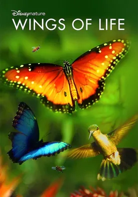 Poster Disneynature: Wings of Life