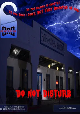 Poster Do Not Disturb