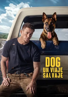 Poster Dog: Un Viaje Salvaje