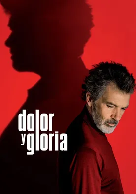 Poster Dolor y gloria