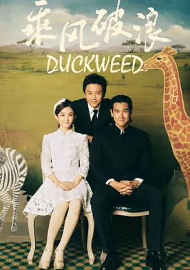 Poster Duckweed