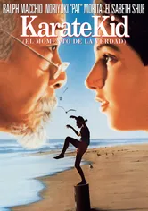 Poster de Karate Kid