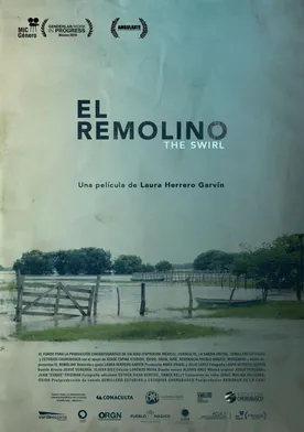 Poster El Remolino