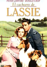 Poster El cachorro de Lassie