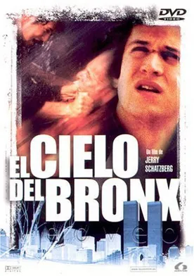 Poster El cielo del Bronx