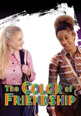 Poster de El color de la amistad