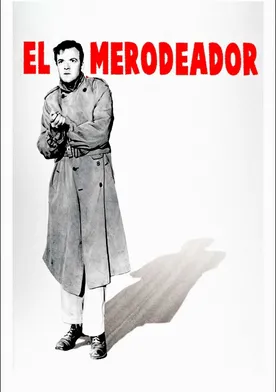 Poster El cómplice de las sombras