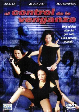 Poster El control de la venganza