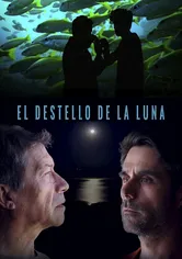 Poster El destello de la luna