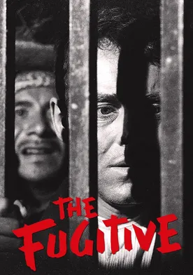 Poster de El fugitivo