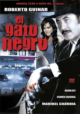 Poster El gato negro