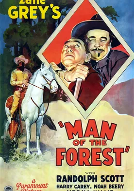 Poster El hombre del bosque