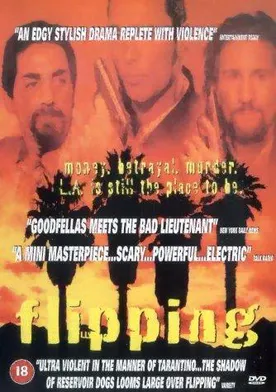 Poster de El infiltrado