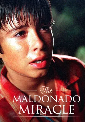 Poster El milagro de Maldonado