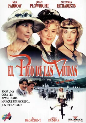Poster de El monte de las viudas