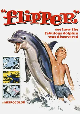 Poster de El niño y el delfín