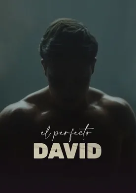 Poster El perfecto David