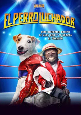 Poster de El perro luchador