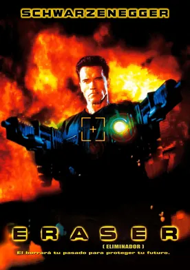 Poster de El protector