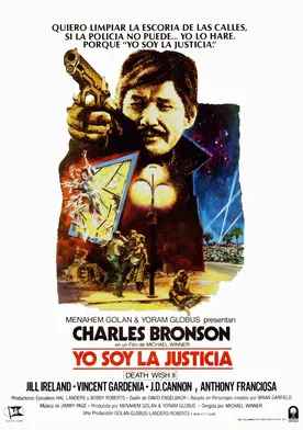 Poster de El vengador anónimo II