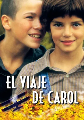 Poster de El viaje de Carol