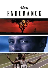 Poster de Endurance