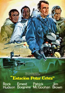 Poster Estación polar Zebra