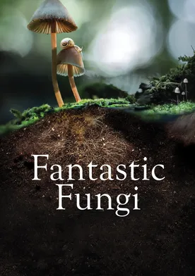 Poster Fantastic Fungi