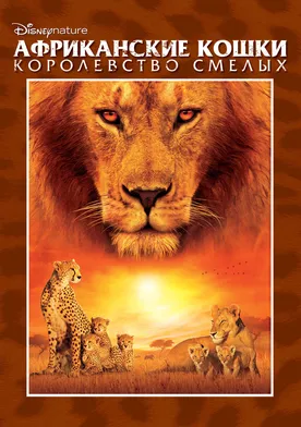 Poster Felinos de África