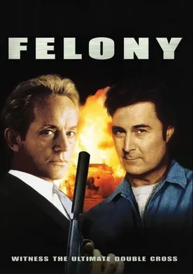 Poster Felony