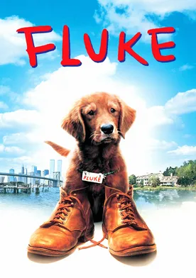 Poster Fluke, memorias de otra vida