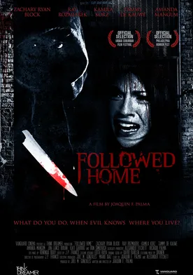 Poster Followed Home