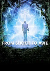 Poster From Shock to Awe