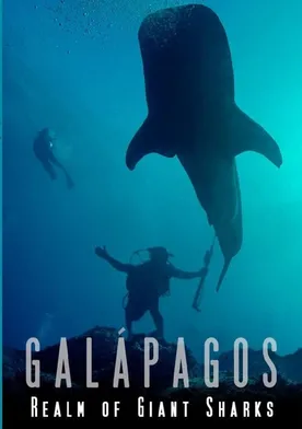 Poster Galapagos: Realm of Giant Sharks