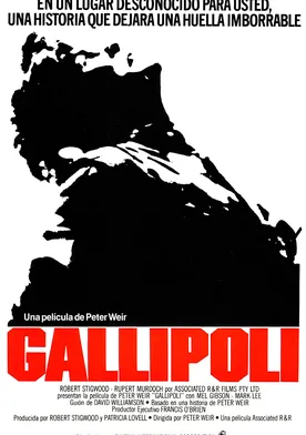 Poster Gallipoli