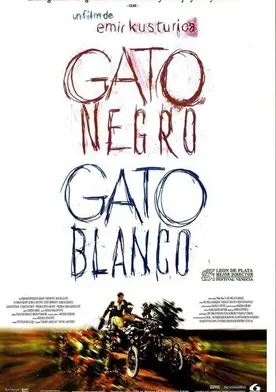 Poster Gato negro, gato blanco