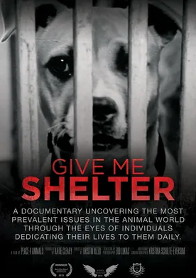 Poster Give Me Shelter