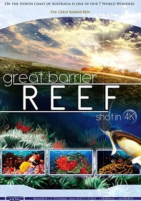 Poster Great Barrier Reef 4K