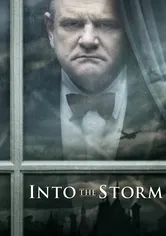 Poster de Capeando la tormenta