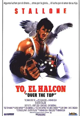 Poster Halcón