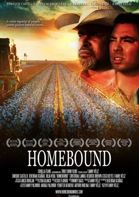 Poster Homebound