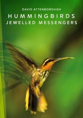 Poster Hummingbirds: Jewelled Messengers