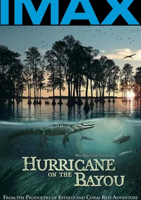 Poster Hurricane on the Bayou