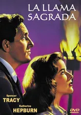 Poster de Ídolos de barro