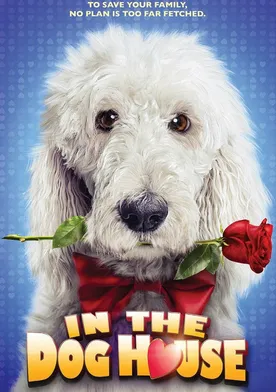 Poster El amor por un perro