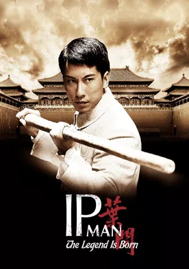 Poster de Ip Man: La leyenda
