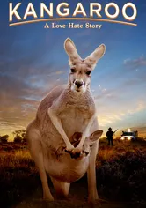 Poster Kangaroo