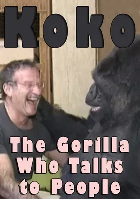 Poster Koko: The Gorilla Who Talks to People